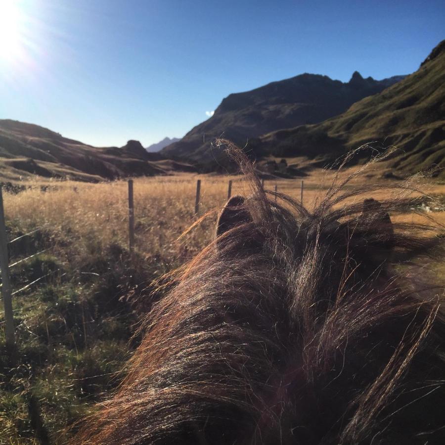 Flo Lofoten Nature Escape Valberg Bagian luar foto