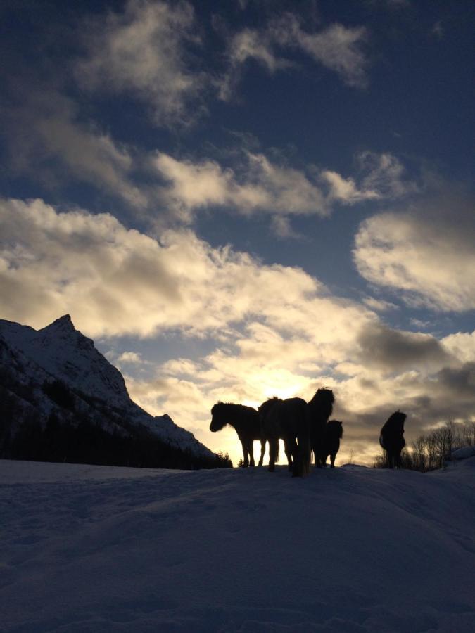 Flo Lofoten Nature Escape Valberg Bagian luar foto